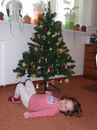 24.12.2010 (19)