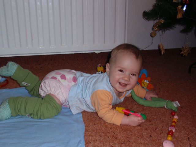 24.12.2010 (24)