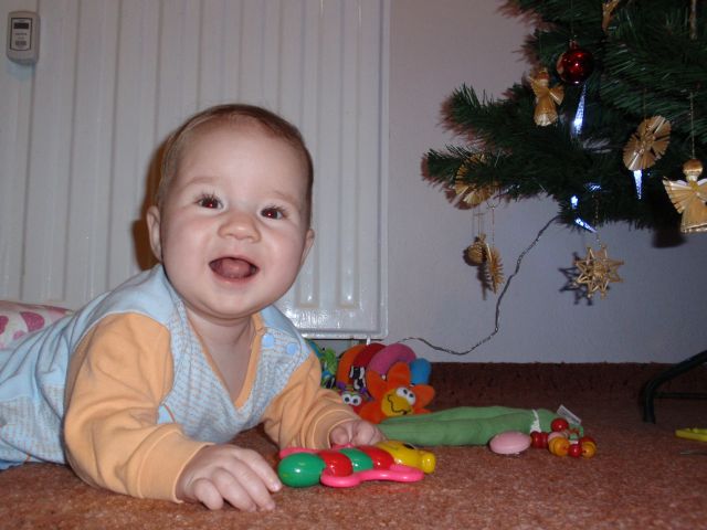 24.12.2010 (29)