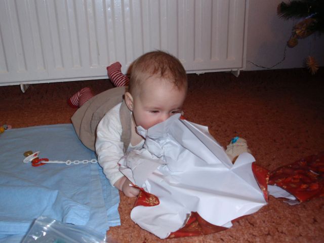 24.12.2010 (71)