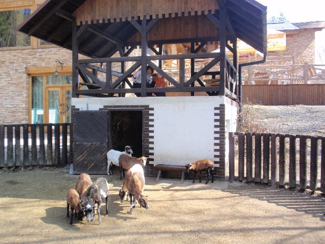30.3.2011