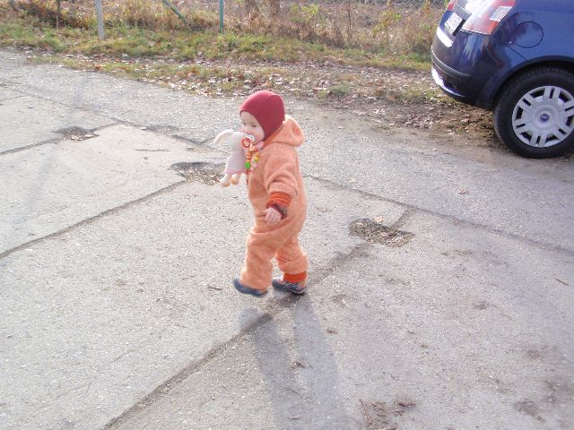 2.12.2011 (4)