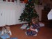 24.12.2010 (47)